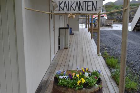 Kaikanten Rorbuer Sennesvik Exterior photo